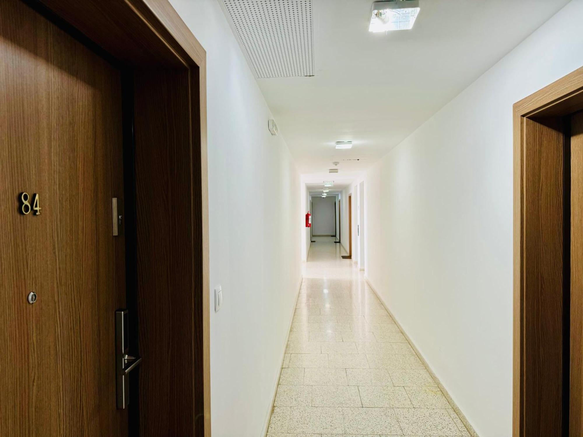 טימישוארה Joy City Stay Forest 84 מראה חיצוני תמונה